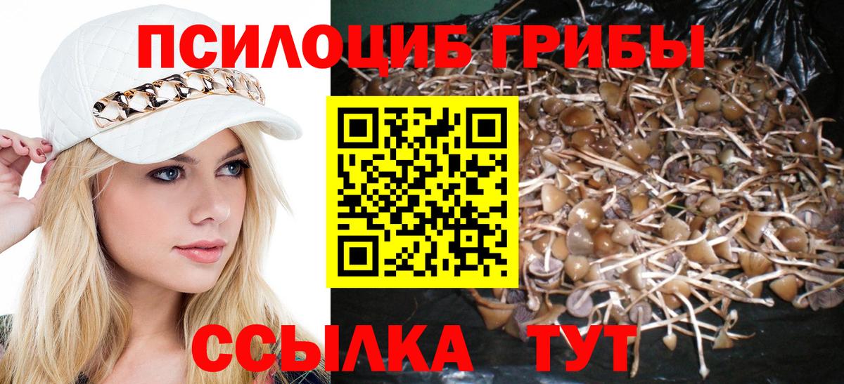 Галлюциногенные грибы мицелий Среднеуральск