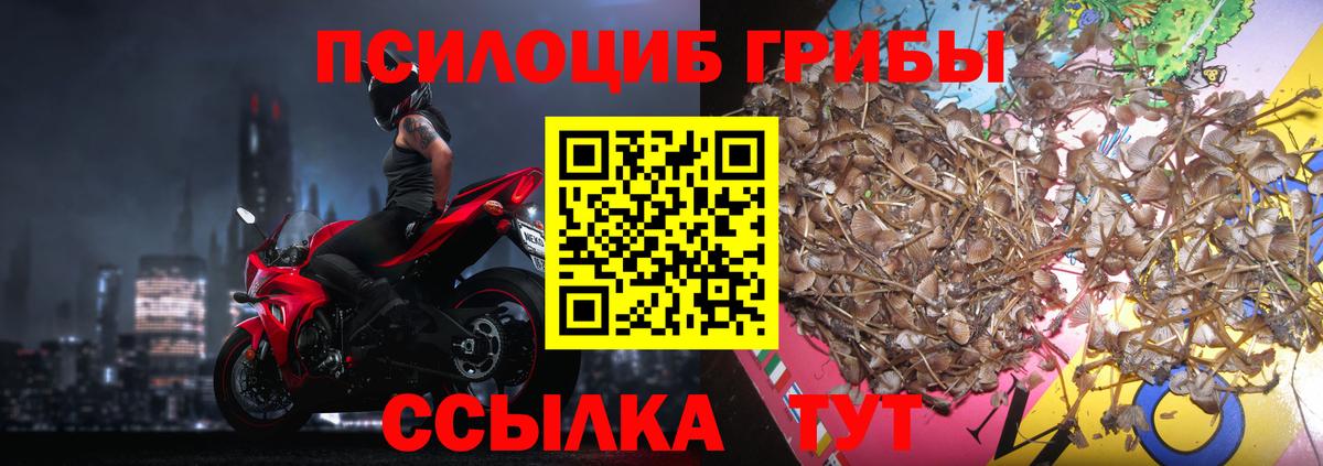 Среднеуральск  Галлюциногенные грибы GOLDEN TEACHER  Вход с VPN 